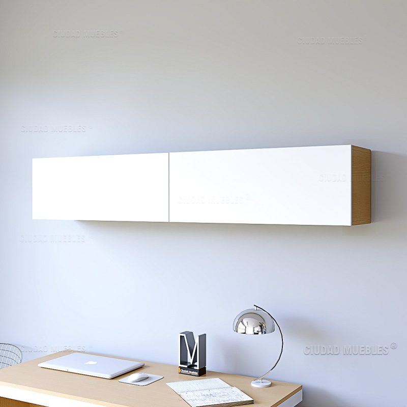 Modulo Organizador Flotante con Puerta